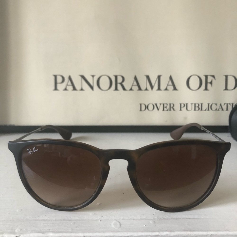 Ray-Ban Erika Sunglasses